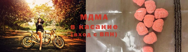 хмурый Алексеевка