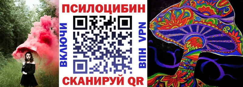 даркнет сайт  Дзержинск  Псилоцибиновые грибы мицелий 